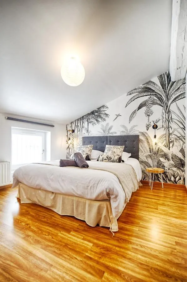 Le Raphael Centre Historique Apartment Le Puy-en-Velay